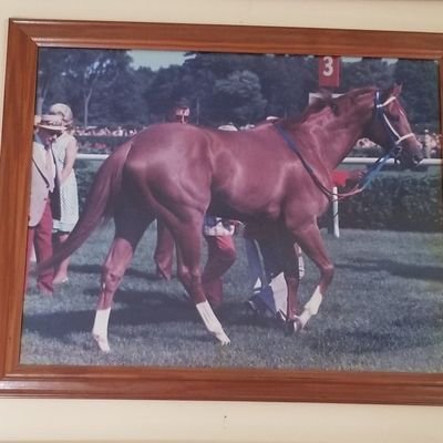 john michaelknuckles