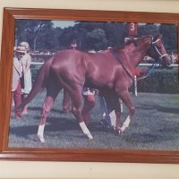 john michaelknuckles