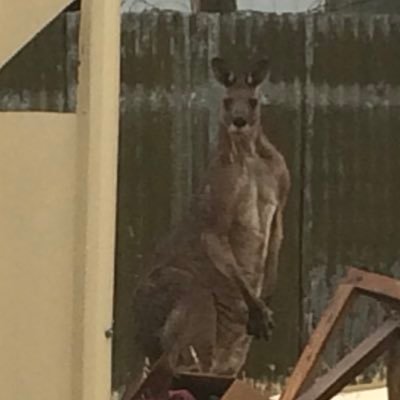 Christine (kris)🇦🇺