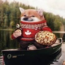 Liz the Wiz ๐๐๐๐๐๏ธ๐๏ธ๐๏ธ๐๏ธ #NAFO EH ๐๐๐๐