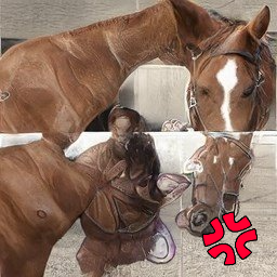 💢(Ø,G) ꧁IP꧂Tabi 🟧Jennifer Pagan❤️ Memecoin