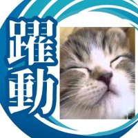 梅干し猫