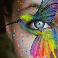 Sueli lei🇧🇷🇧🇷🇧🇷🇧🇷🇧🇷