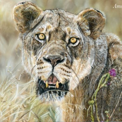 Amanda Smith-Mitchell