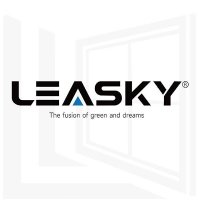 Leasky_doors