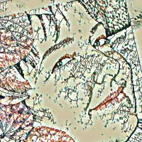 Sissifussine 🎨🇩🇪💙