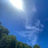 🧡💙まりん👩🧡💙