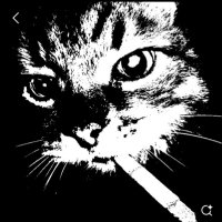 SCP-2718 ᴏғ sʜᴇᴅᴛᴡᴛ