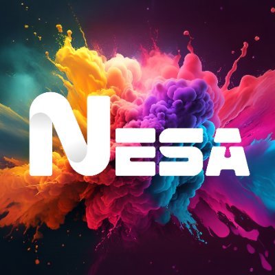 Nesa Software Pvt Ltd