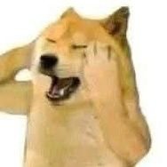 MJA Crypto🐬TermMax