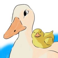 中国 acorn 🇨🇳