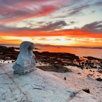 Iván🔌🚘🌍☘️🚜🧑‍🦽