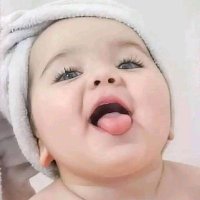 🐍जहरीला साँप🐍