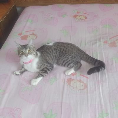 R Esteban Rovira Flores