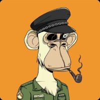 潘驴邓晓闲缺一