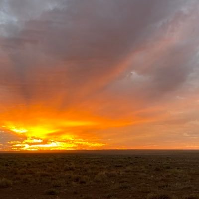 I stand with Ukraine and against Genocide 🇦🇺🇺🇦