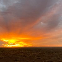 I stand with Ukraine and against Genocide 🇦🇺🇺🇦