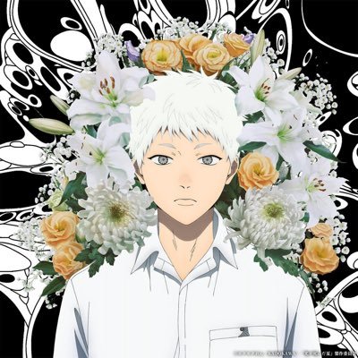 mundinho o verao que hikaru morreu