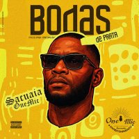 Sacuaia OneMic_oficial