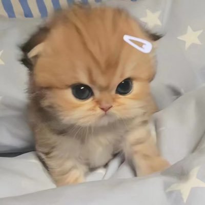 一番楽しい🍊🍊