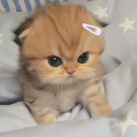 一番楽しい🍊🍊