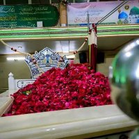 Mohammad Usaidur Rahman