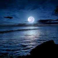 星 @ ポイ活 お得💙