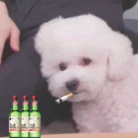 ☽̶☾ sehun bu gece koynuma gelsin -́ ̫-̀