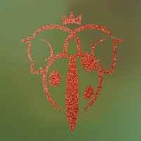 Tracy JSM 💙💙💙🐈‍⬛🐎🫏🐕🐓🪿