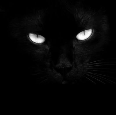 जगदीश पुरोहित