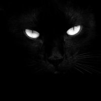 जगदीश पुरोहित