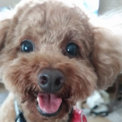 ใธใฃใใธ๐