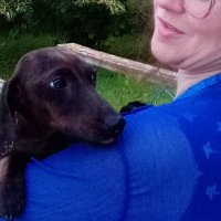 Blooming with Books/Meagan Myhren-Bennett