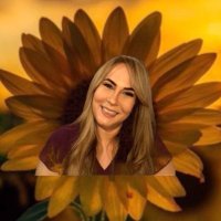 Raiz Girassol |Reflexão Diaria | Meditação