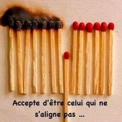 🇲🇫 Jean L. 🇲🇫