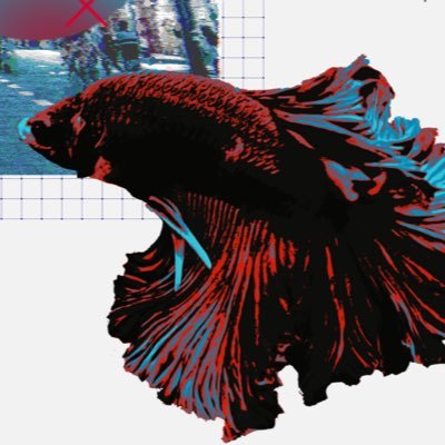 🐠くらくら🐠