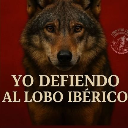 AnimalSoul/Lesbian/She/Her/I'm Married🏳️‍🌈🇵🇸