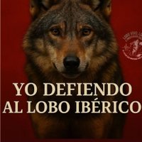 AnimalSoul/Lesbian/She/Her/I'm Married🏳️‍🌈🇵🇸