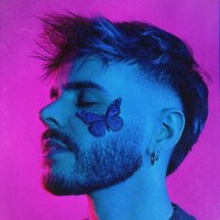 ^•_•^ Notahc 🍉