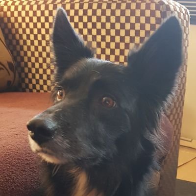 Doreen Wilson. 💗🇬🇧🦖