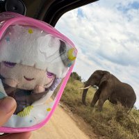 禊ガー男⛩️✨