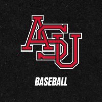 Arkansas State Red Wolves Baseball