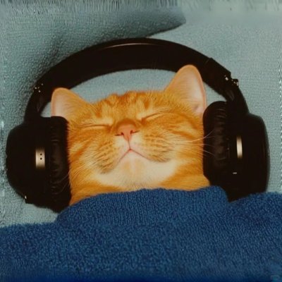 Inside C-pop（100% fo）