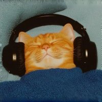 Inside C-pop（100% fo）