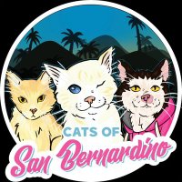 Cats Of Sanbernardino
