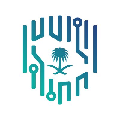 الهيئة الوطنية للأمن السيبراني