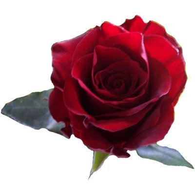 A.C. Cargill - Author (100% Human Writing/Design)