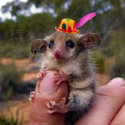 Ralph Heinz Jr 🍿🍅