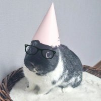 TriCicles (Yvonne) || 🌈🐾