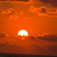 Francesco (Chicco per pochi)